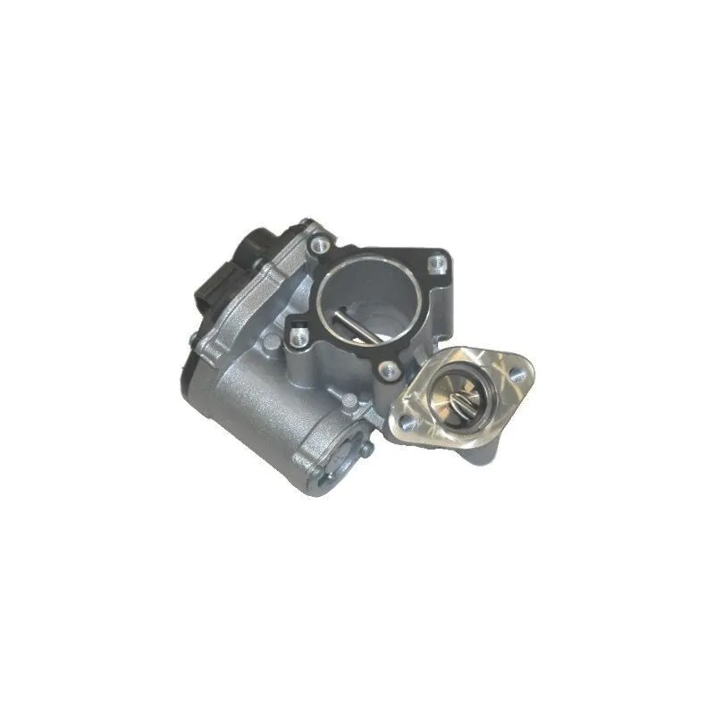Vanne EGR MEAT & DORIA 88110R