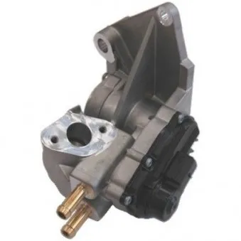 Vanne EGR MEAT & DORIA 88113R