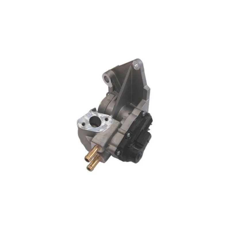 Vanne EGR MEAT & DORIA 88113R