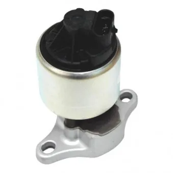 Vanne EGR MEAT & DORIA 88123