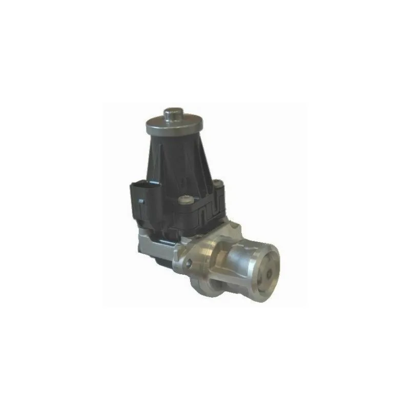Vanne EGR MEAT & DORIA 88124R