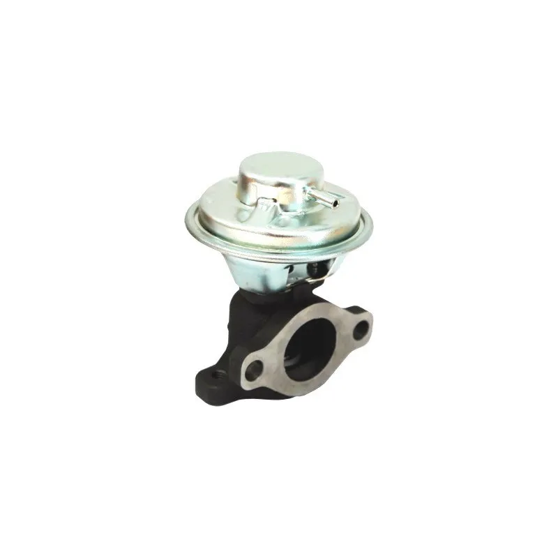 Vanne EGR MEAT & DORIA 88134