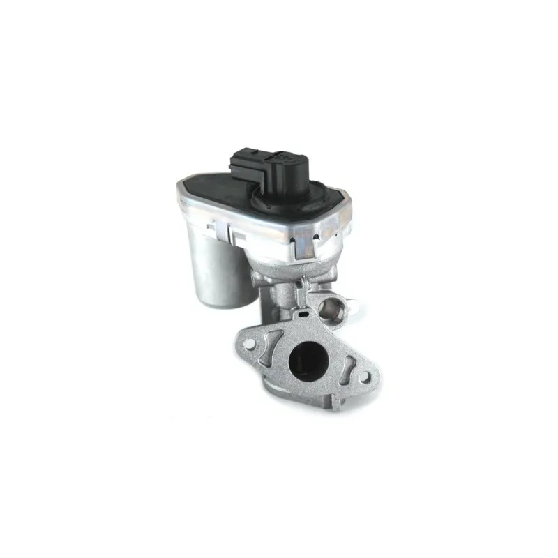 Vanne EGR MEAT & DORIA 88137