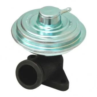 Vanne EGR MEAT & DORIA 88141E