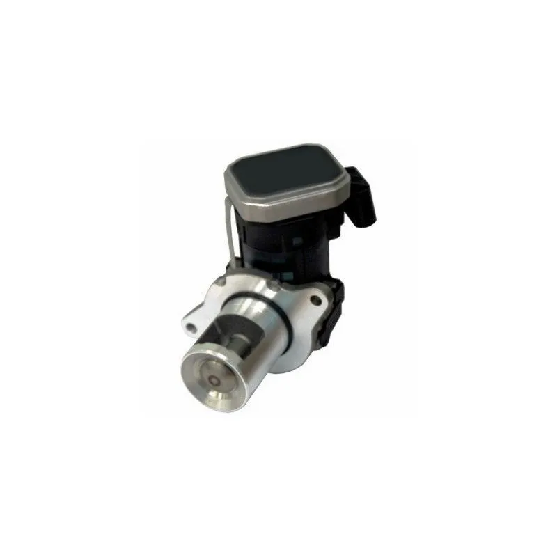 Vanne EGR MEAT & DORIA 88181R