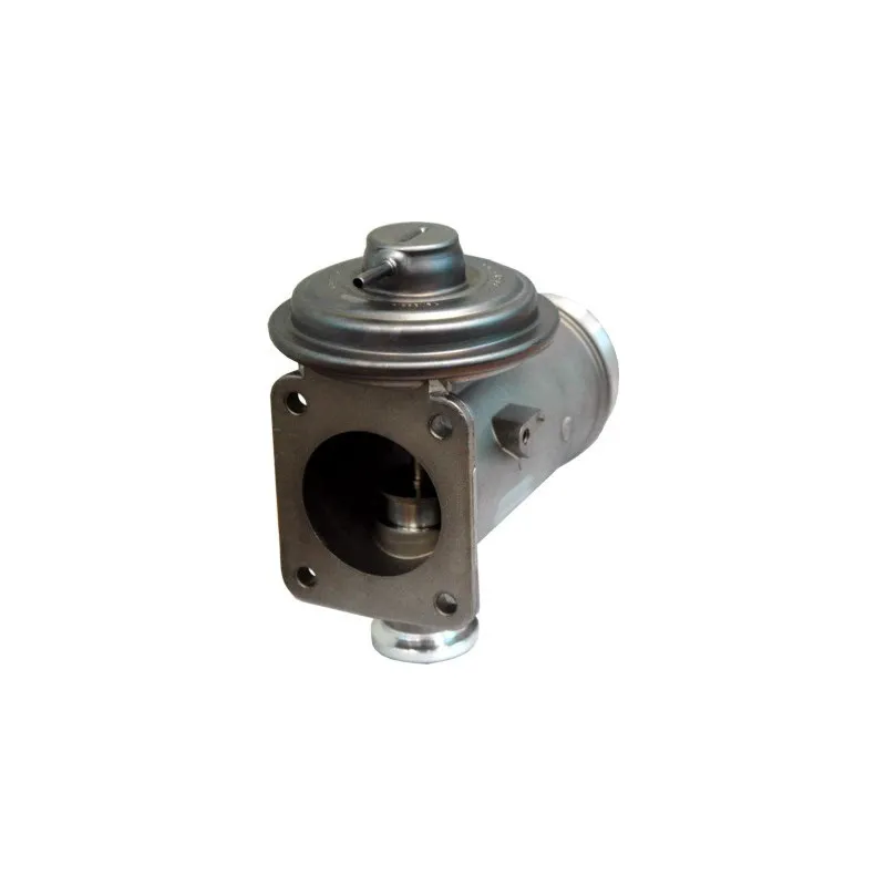 Vanne EGR MEAT & DORIA 88192