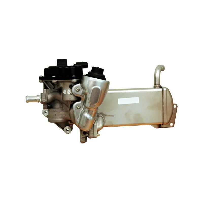 Vanne EGR MEAT & DORIA 88201
