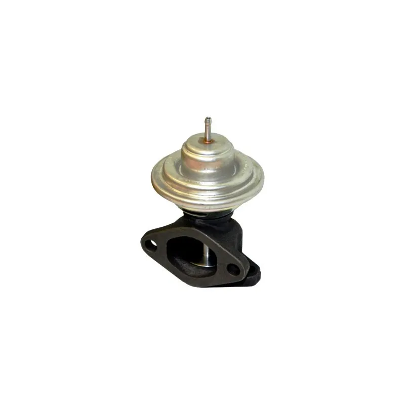 Vanne EGR MEAT & DORIA 88205