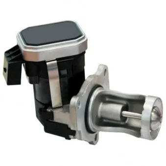 Vanne EGR MEAT & DORIA 88210