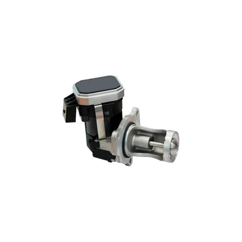 Vanne EGR MEAT & DORIA 88210