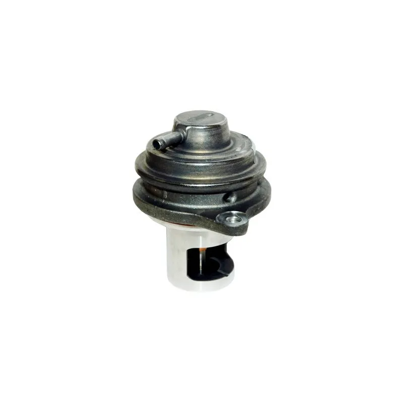 Vanne EGR MEAT & DORIA 88211