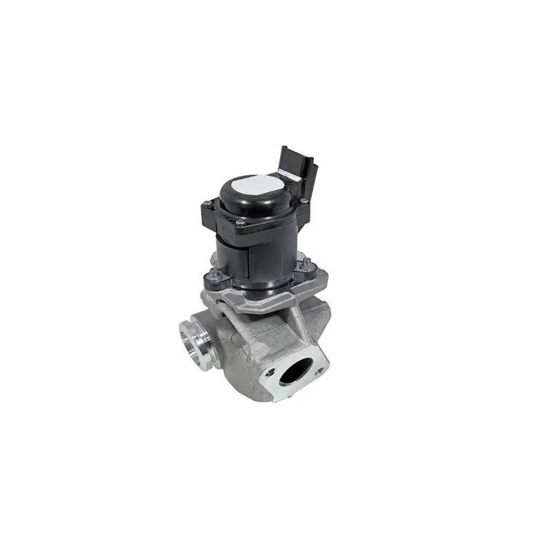 Vanne EGR MEAT & DORIA 88219