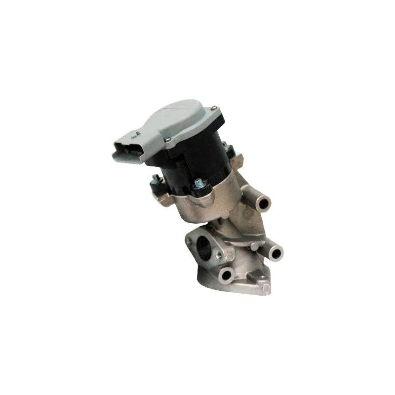 Vanne EGR MEAT & DORIA 88223E