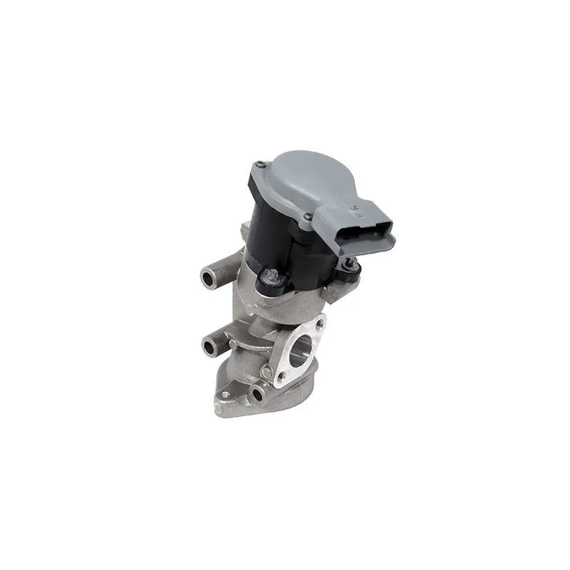 Vanne EGR MEAT & DORIA 88224