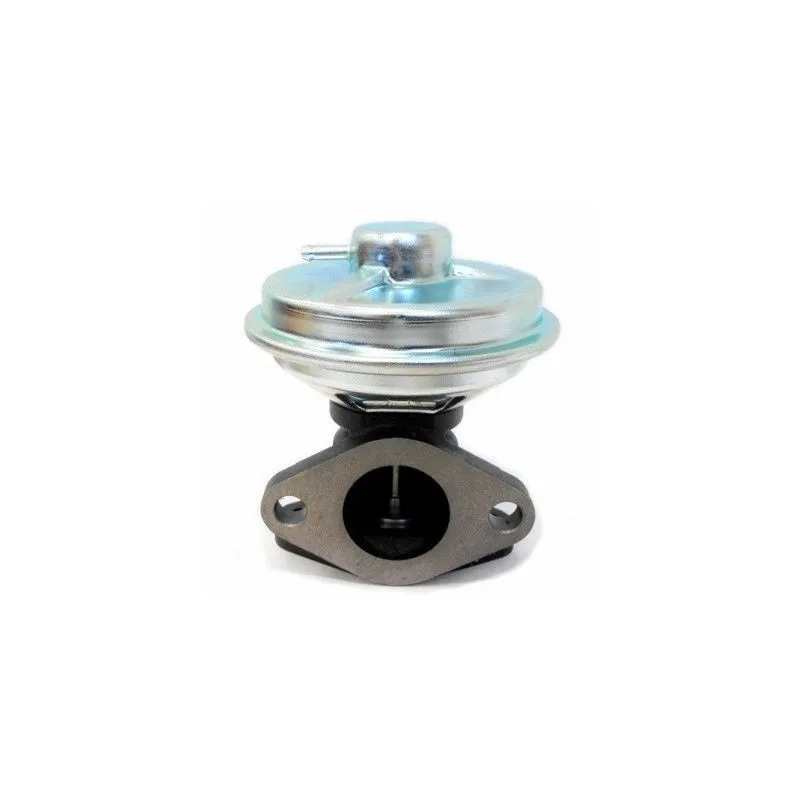Vanne EGR MEAT & DORIA 88275