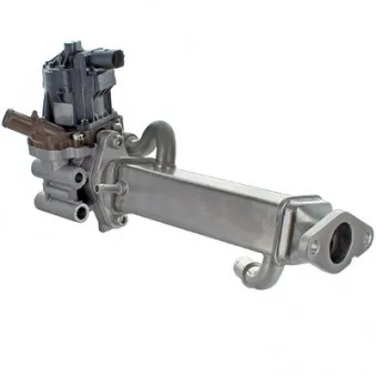 Module-EGR MEAT & DORIA 88278