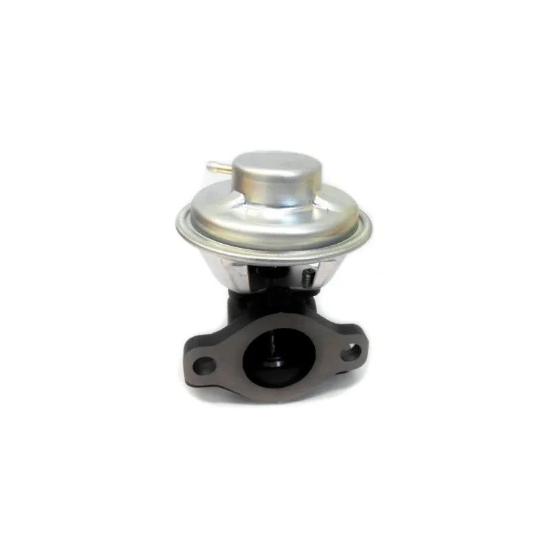 Vanne EGR MEAT & DORIA 88287
