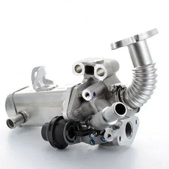 Module-EGR MEAT & DORIA 88298