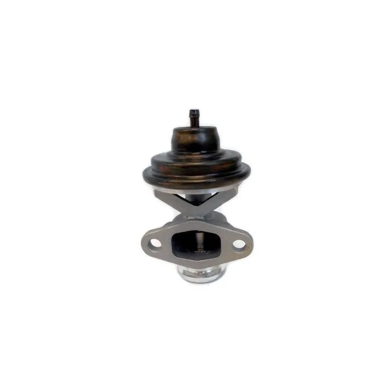 Vanne EGR MEAT & DORIA 88307