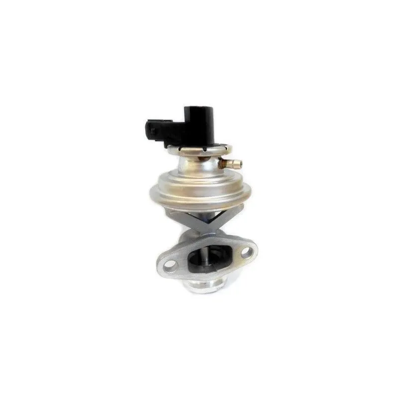 Vanne EGR MEAT & DORIA 88308