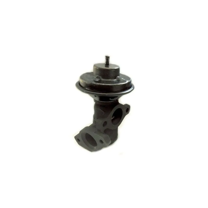 Vanne EGR MEAT & DORIA 88310