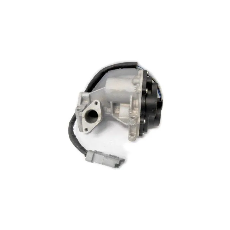Vanne EGR MEAT & DORIA 88316R