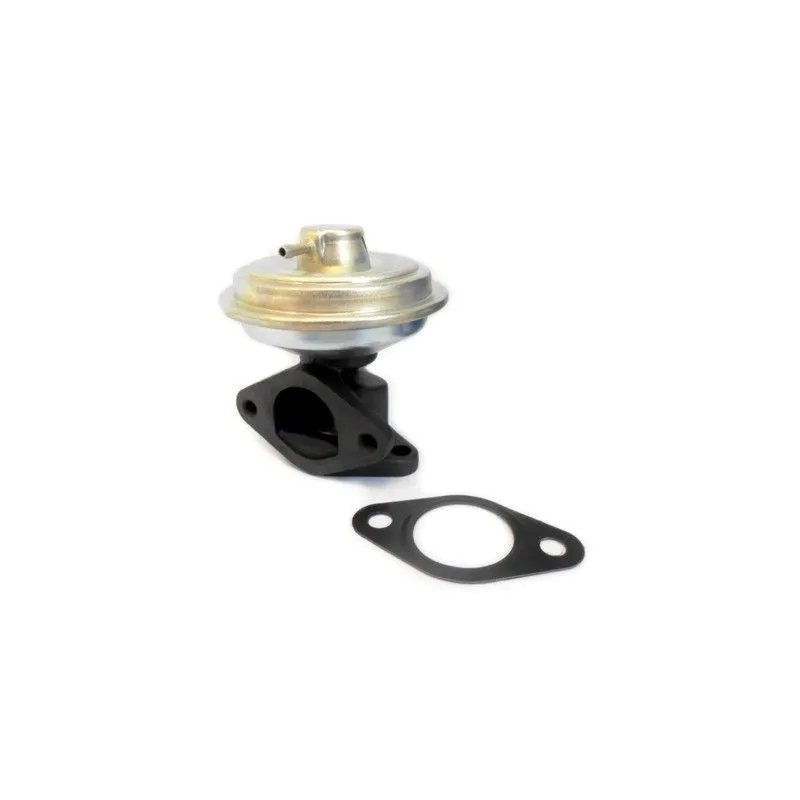 Vanne EGR MEAT & DORIA 88339