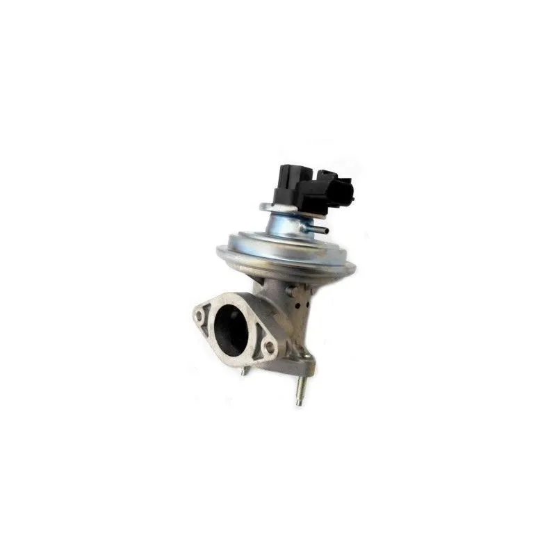 Vanne EGR MEAT & DORIA 88356
