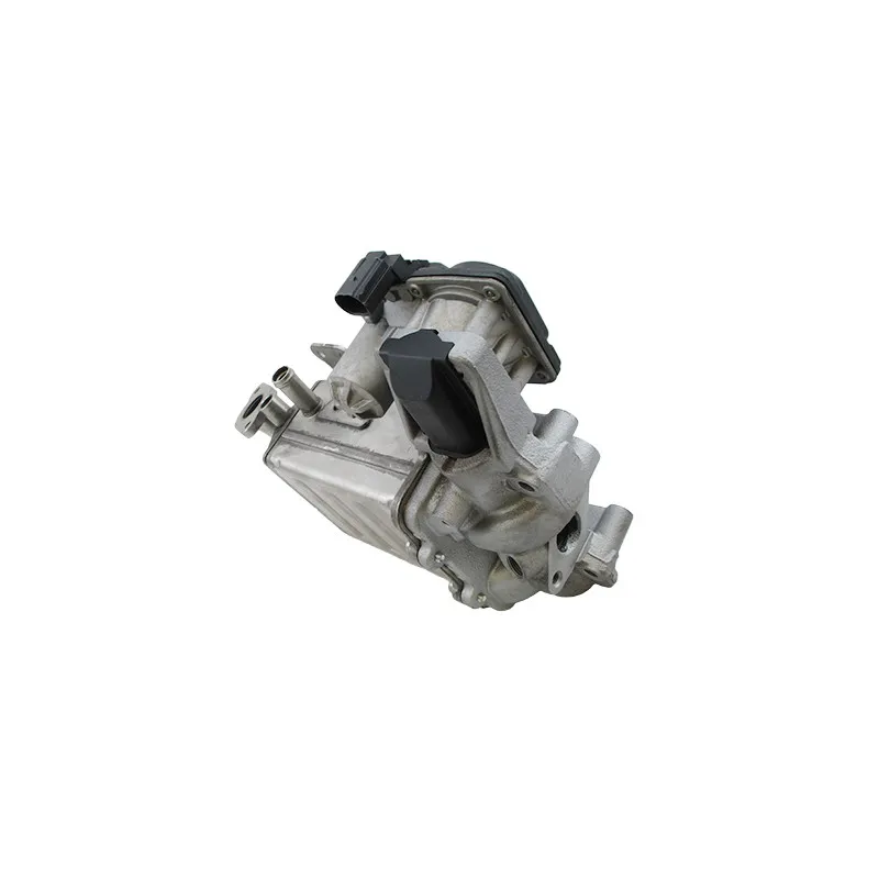 Module-EGR MEAT & DORIA 88378R