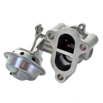 Vanne EGR MEAT & DORIA 88444