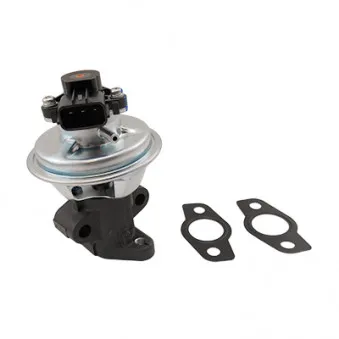 Vanne EGR MEAT & DORIA 88447