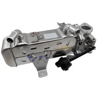 Module-EGR MEAT & DORIA 88456