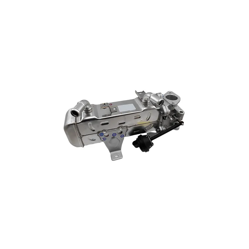 Module-EGR MEAT & DORIA 88456