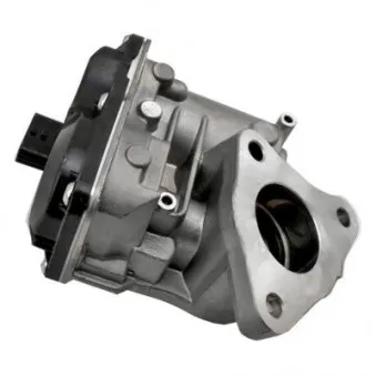 Vanne EGR MEAT & DORIA 88490R