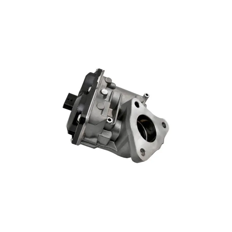 Vanne EGR MEAT & DORIA 88490R