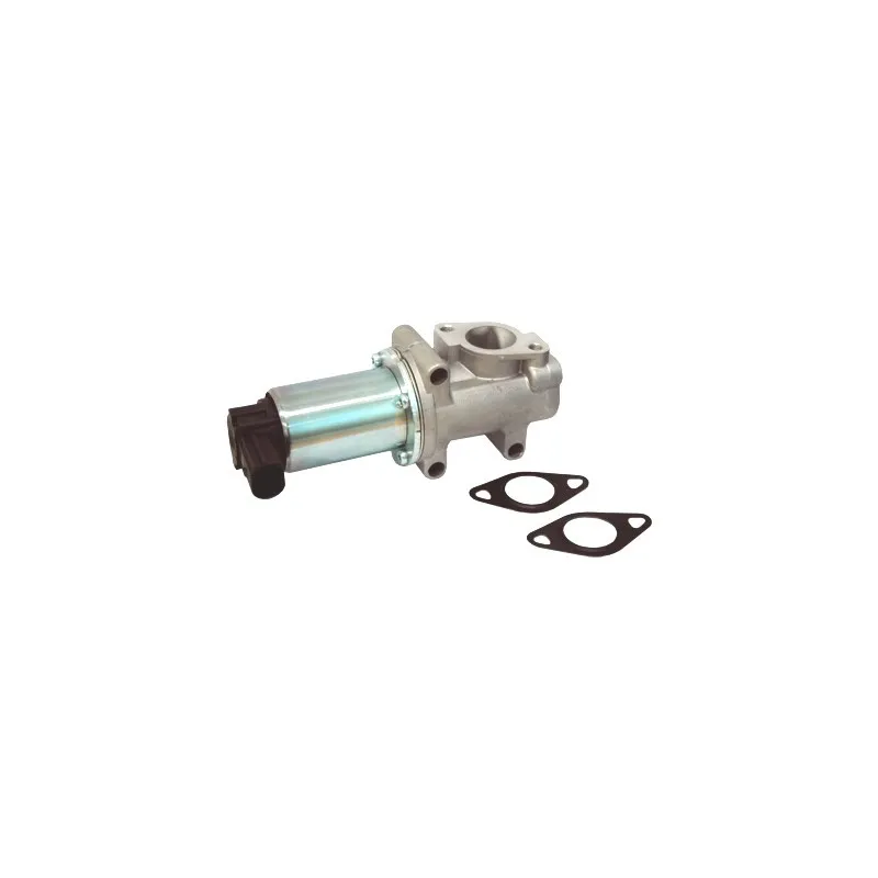 Vanne EGR MEAT & DORIA 88507