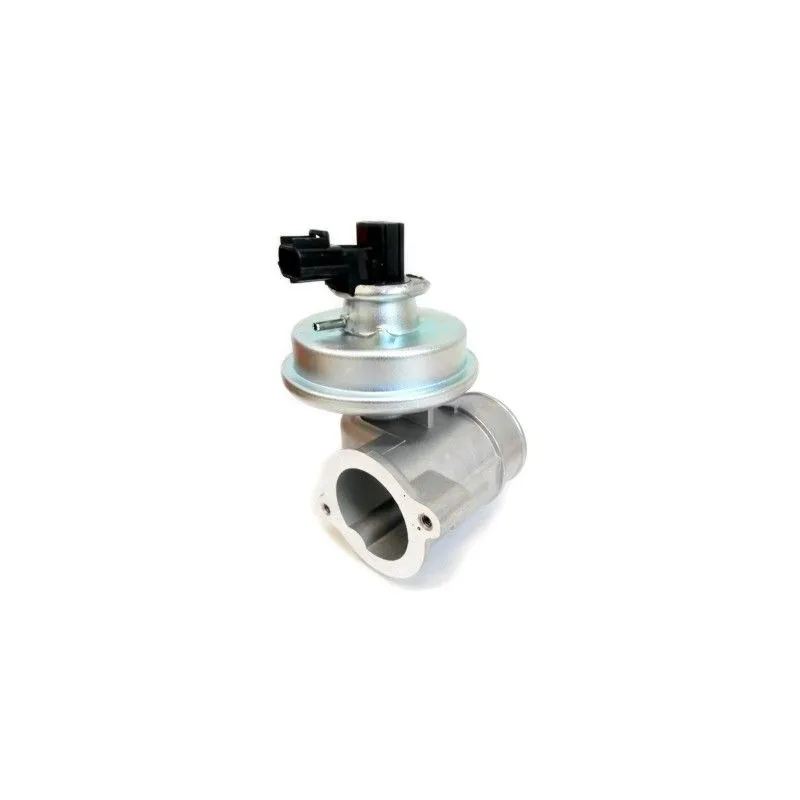 Vanne EGR MEAT & DORIA 88541