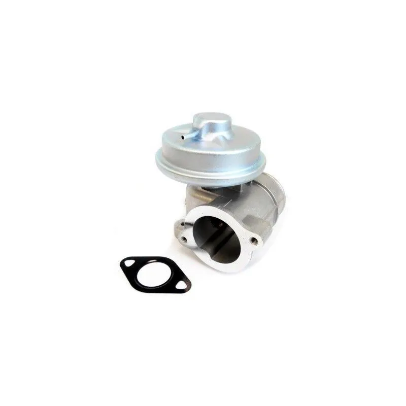 Vanne EGR MEAT & DORIA 88542
