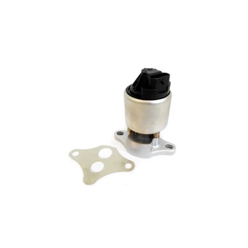 Vanne EGR MEAT & DORIA 88611