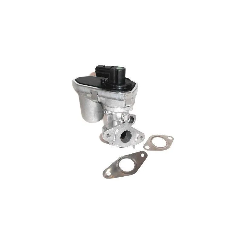 Vanne EGR MEAT & DORIA 88637