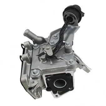 Module-EGR MEAT & DORIA 88721