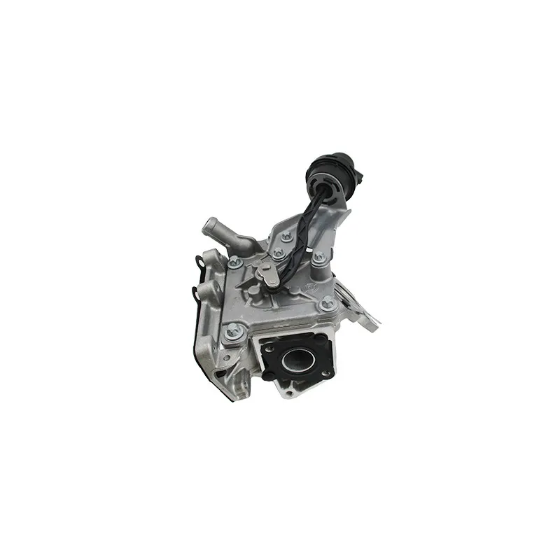 Module-EGR MEAT & DORIA 88721