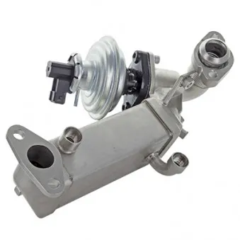 Module-EGR MEAT & DORIA 88724