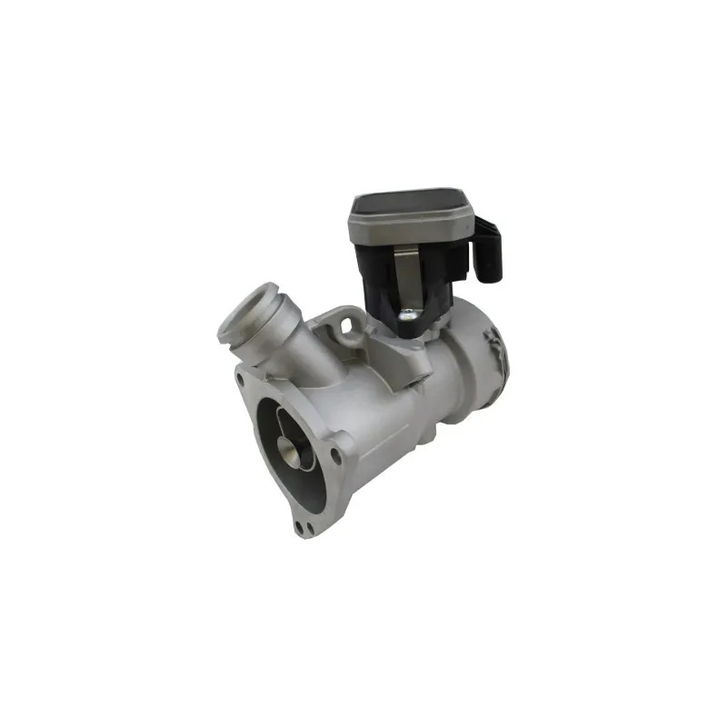 Vanne EGR MEAT & DORIA 88815