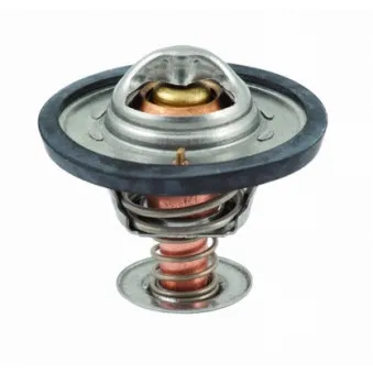 Thermostat d'eau MEAT & DORIA 92091
