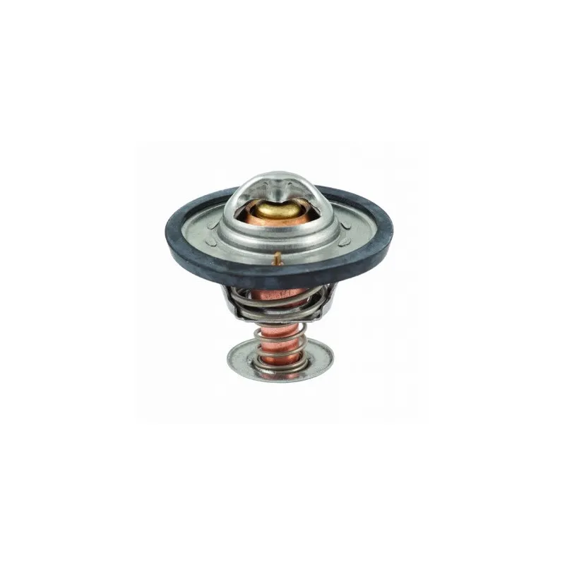 Thermostat d'eau MEAT & DORIA 92091
