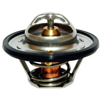 Thermostat d'eau MEAT & DORIA 92095