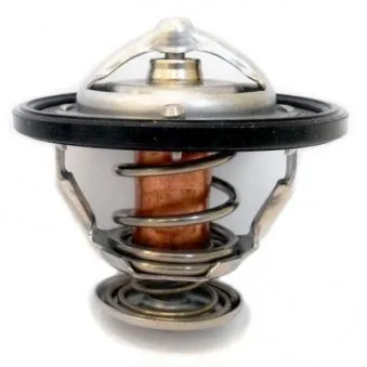 Thermostat d'eau MEAT & DORIA 92123