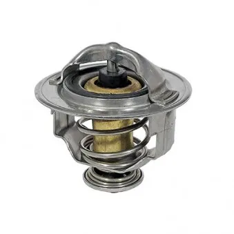 Thermostat d'eau MEAT & DORIA