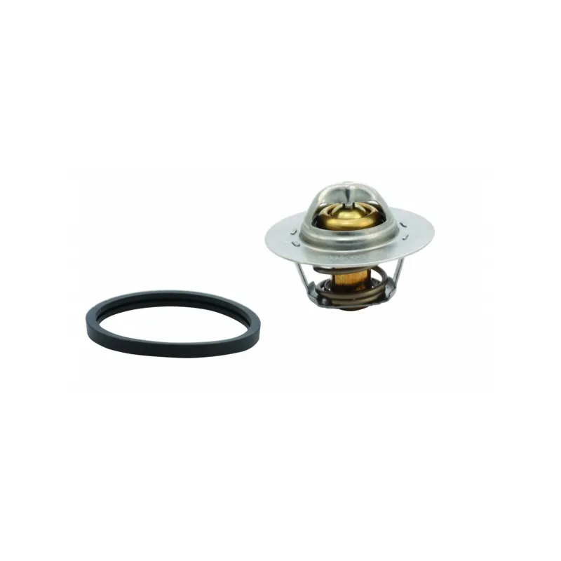Thermostat d'eau MEAT & DORIA 92145